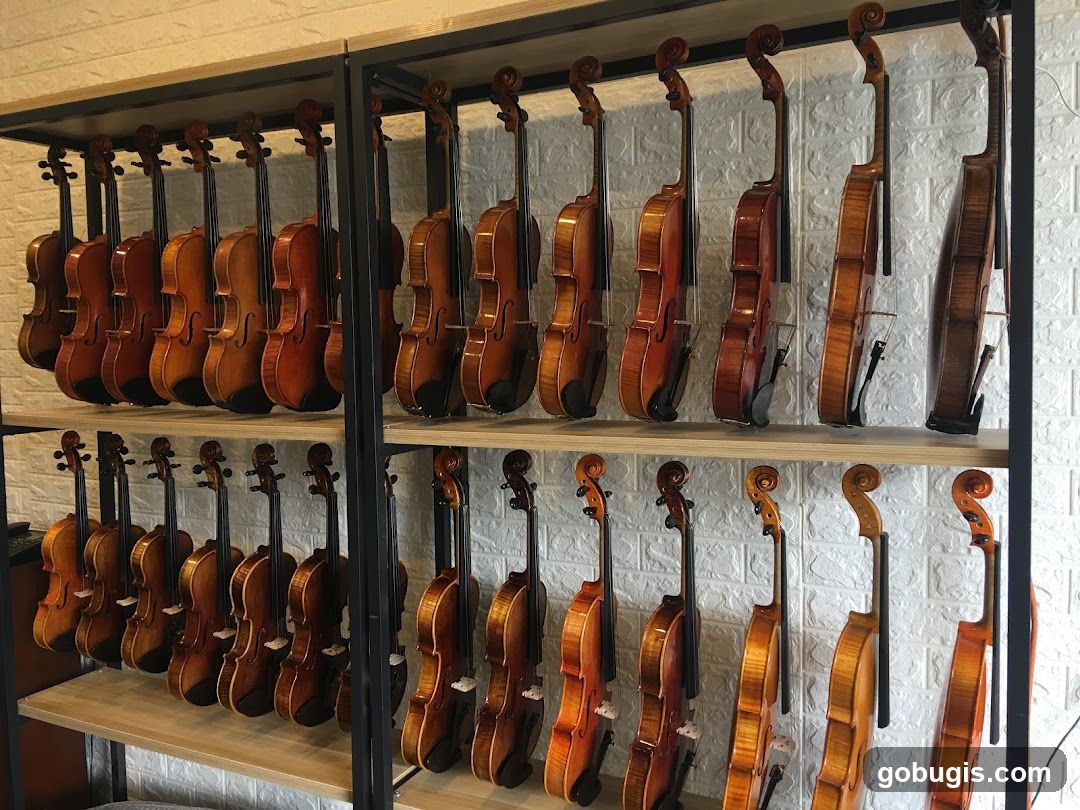 Violins on Display