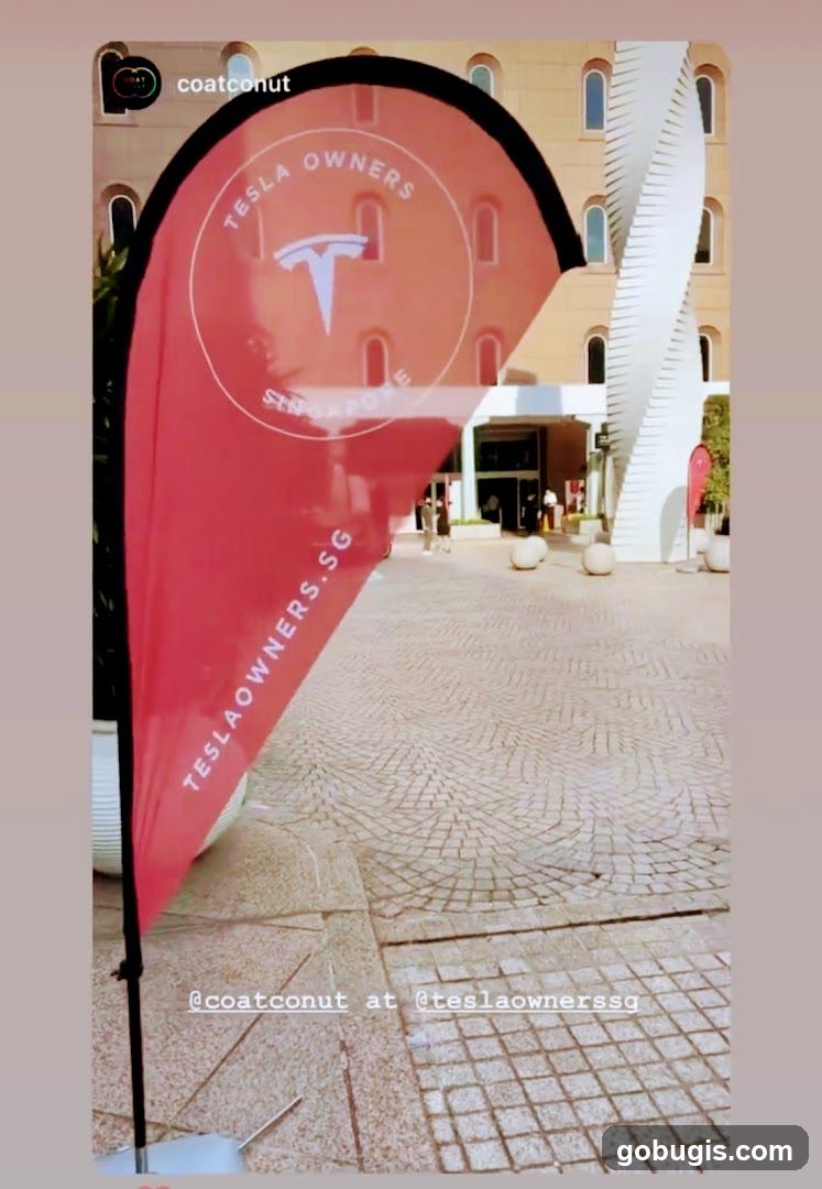 Tesla Owners Singapore Flag