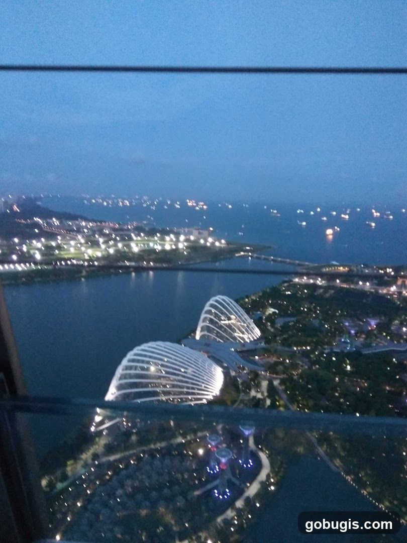 Gardens by the Bay at Dusk