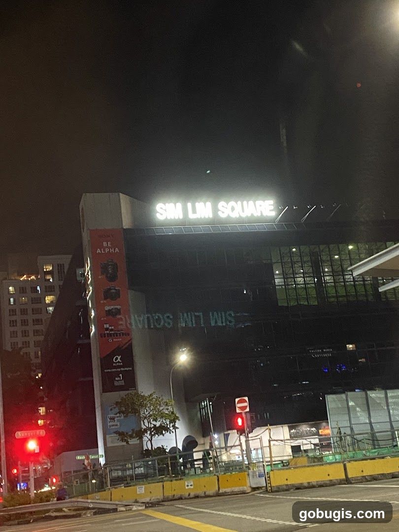 Sim Lim Square
