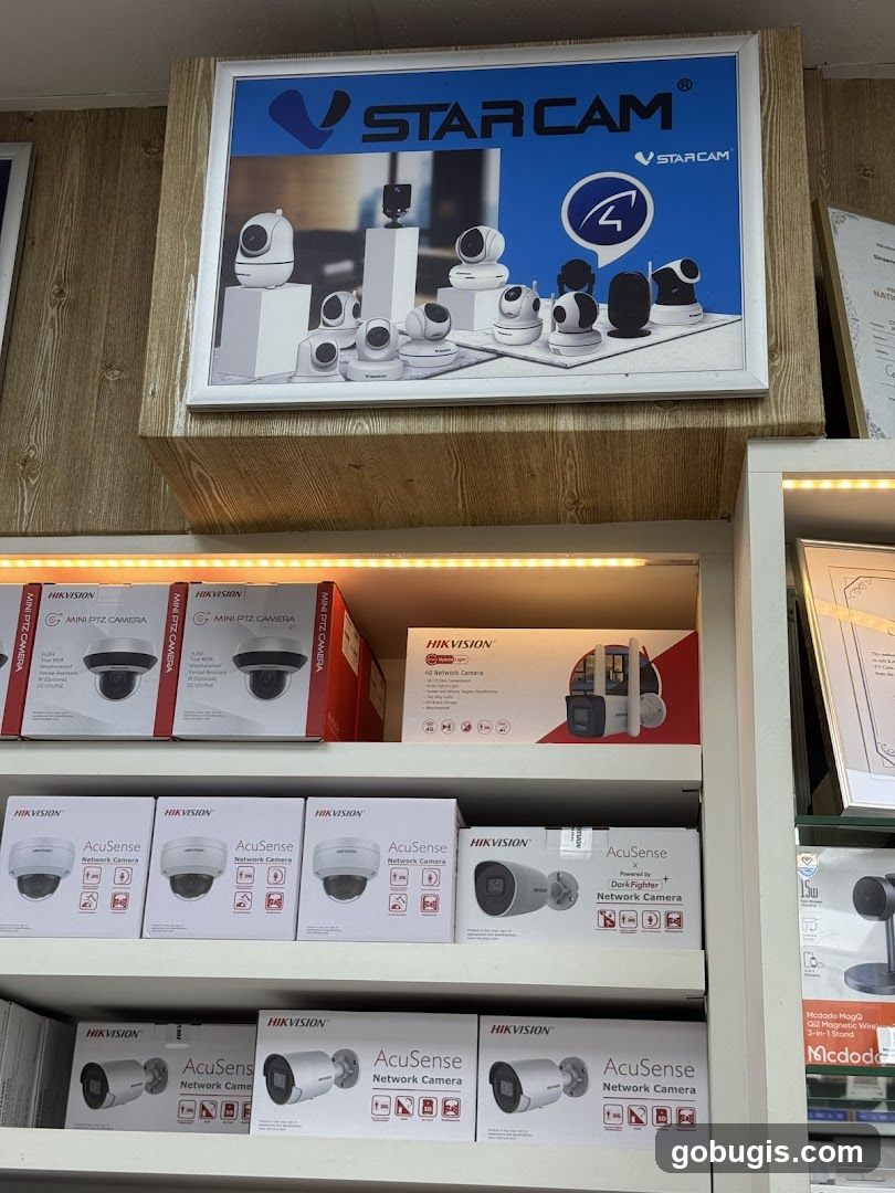 Security Camera Display