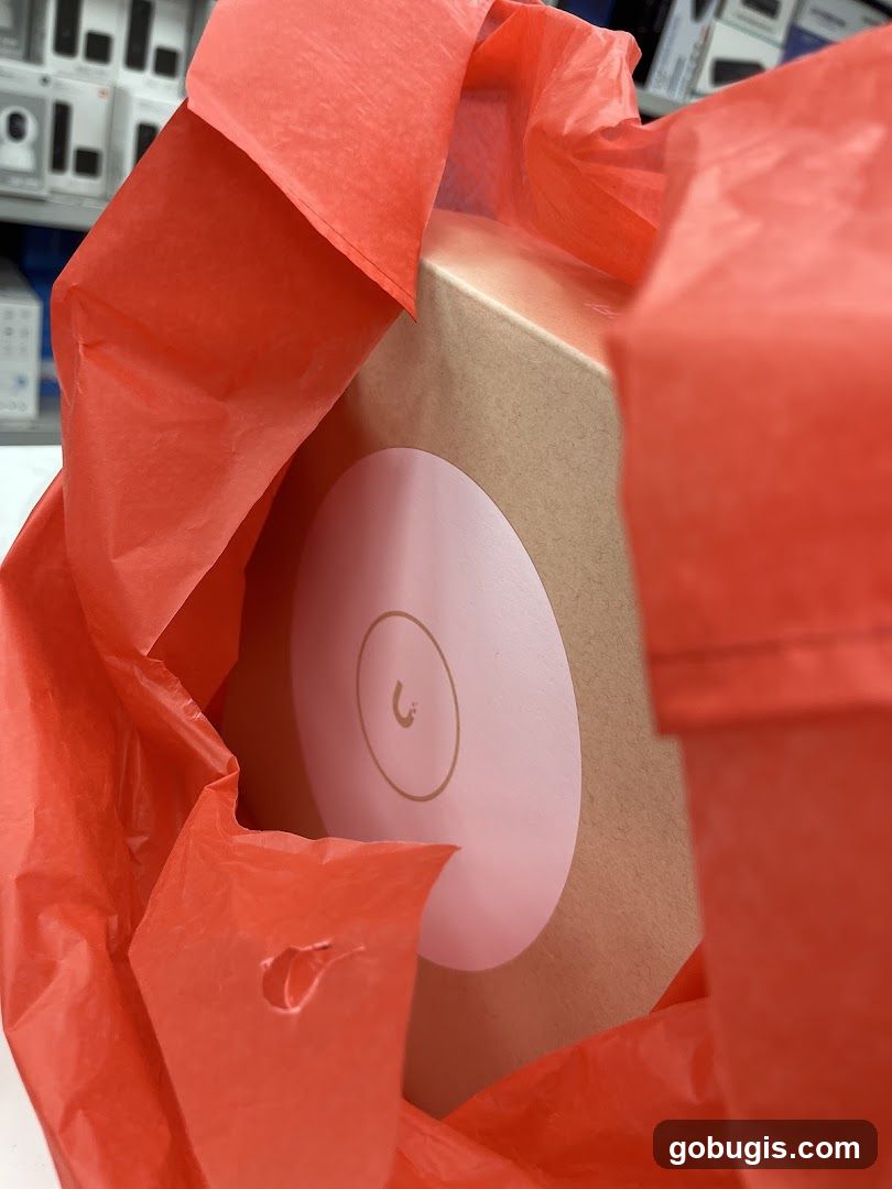 Gift box in a shopping bag