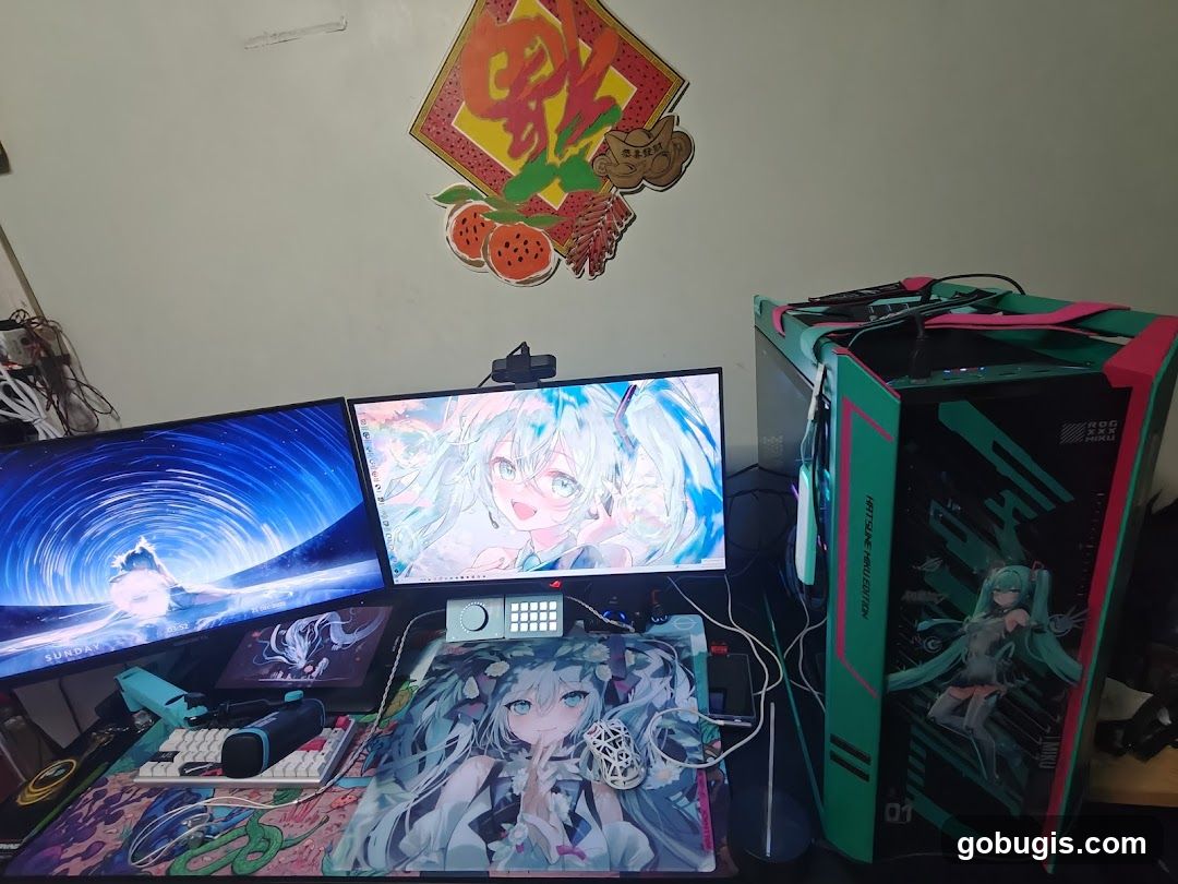 Gaming Setup