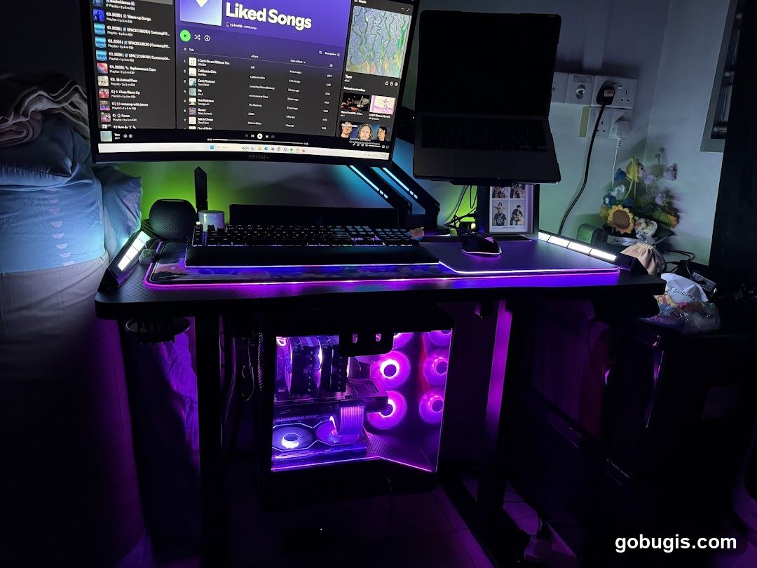 Gaming Setup