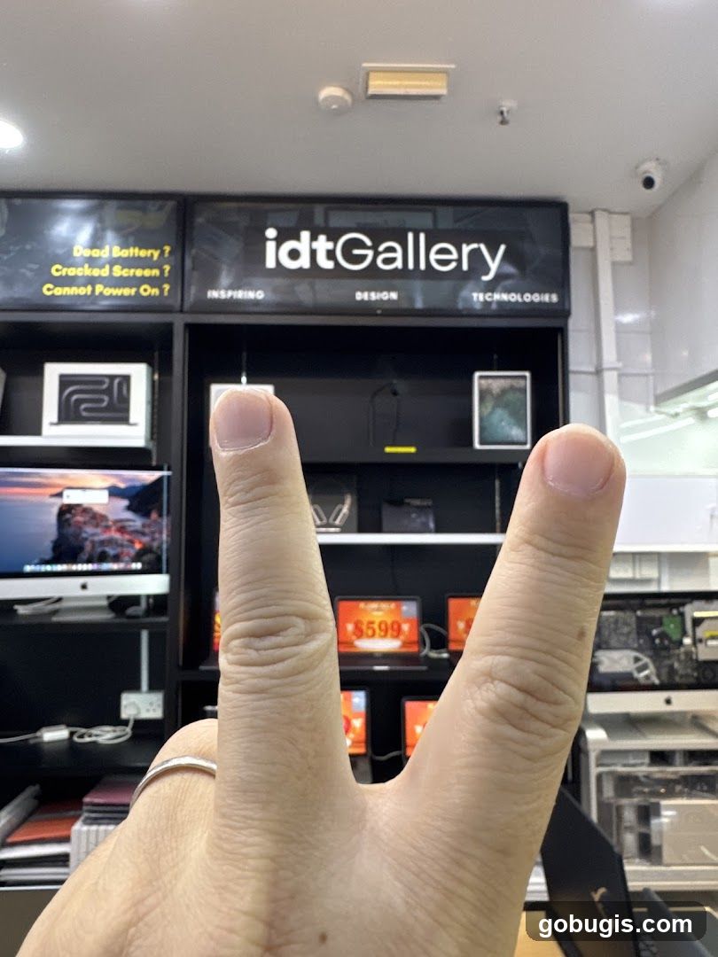 idtGallery Store Interior