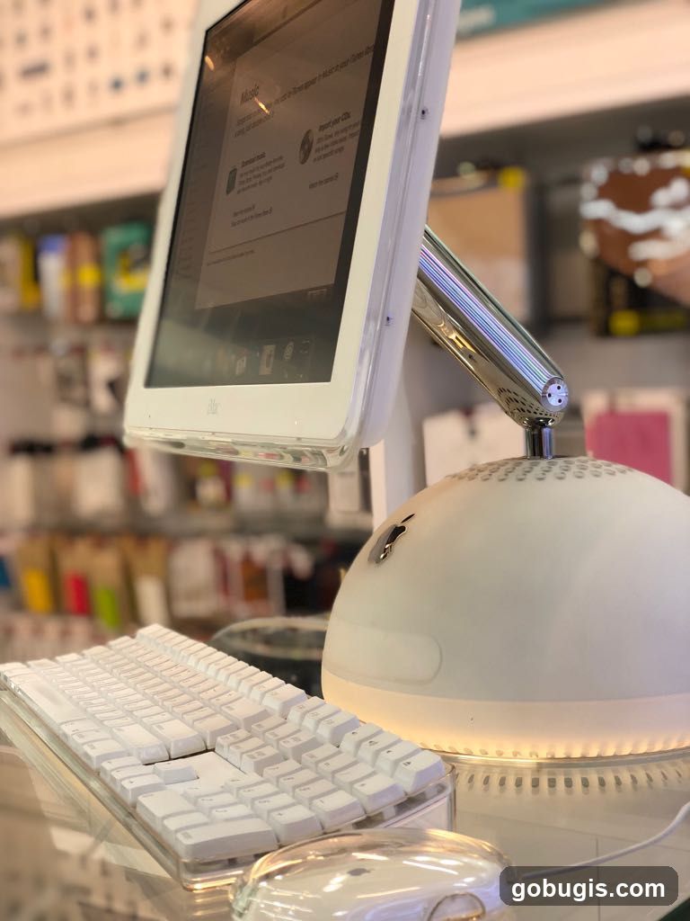 Apple Computer Display