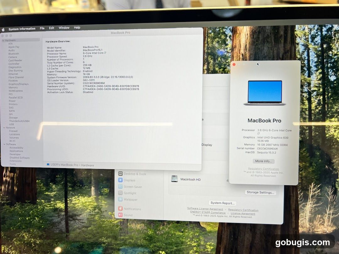 MacBook Pro System Information