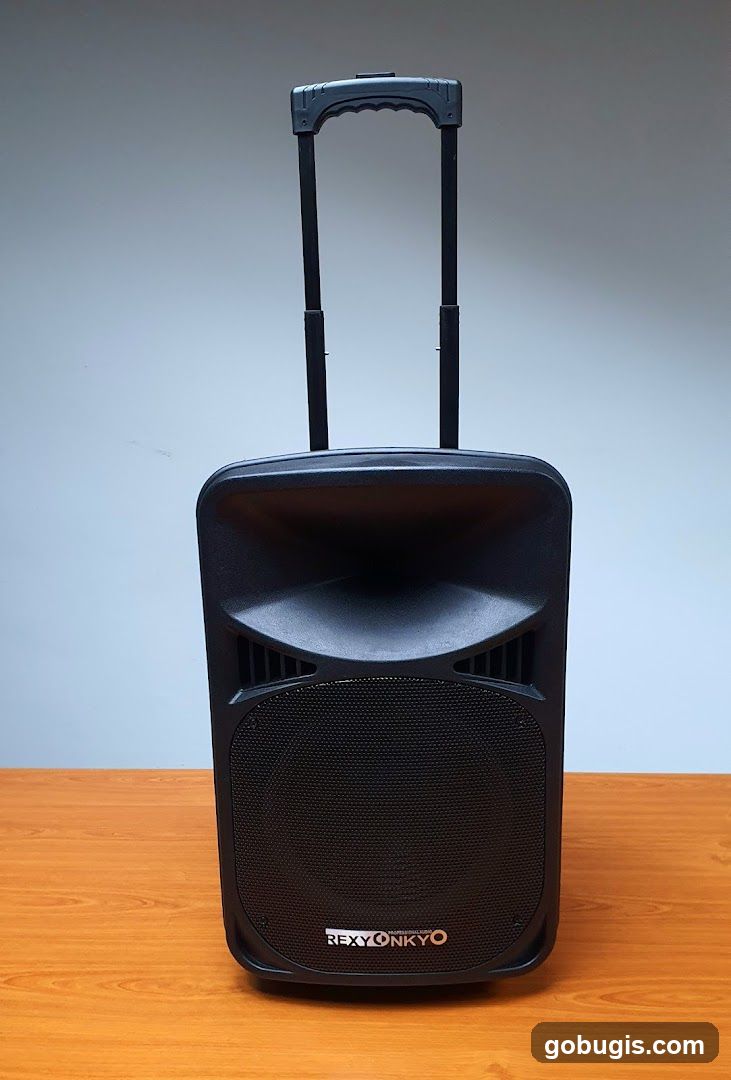 Portable Speaker