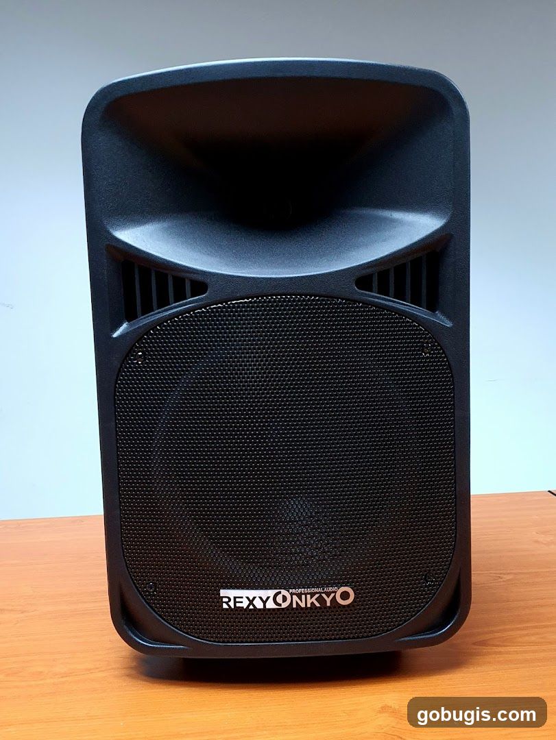 Professional Audio Speaker