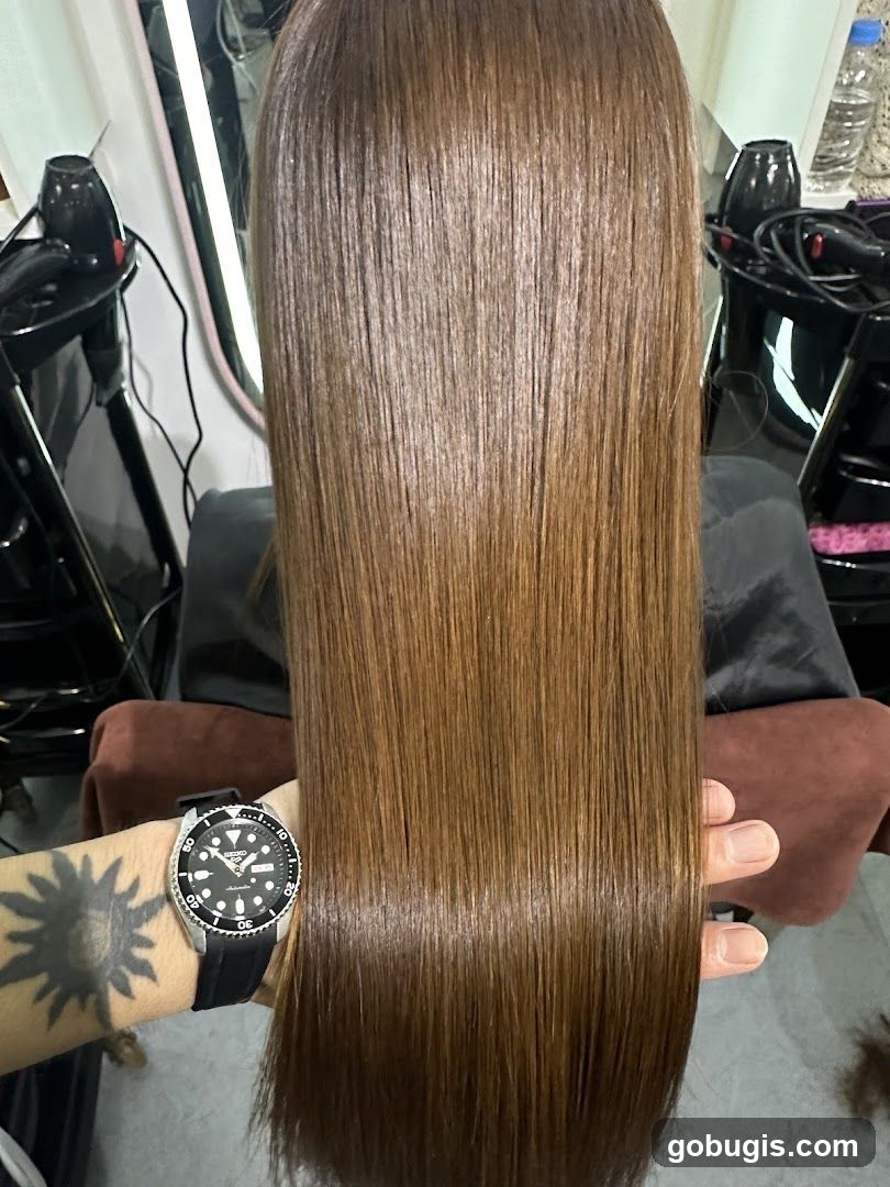 Shiny Brown Hair