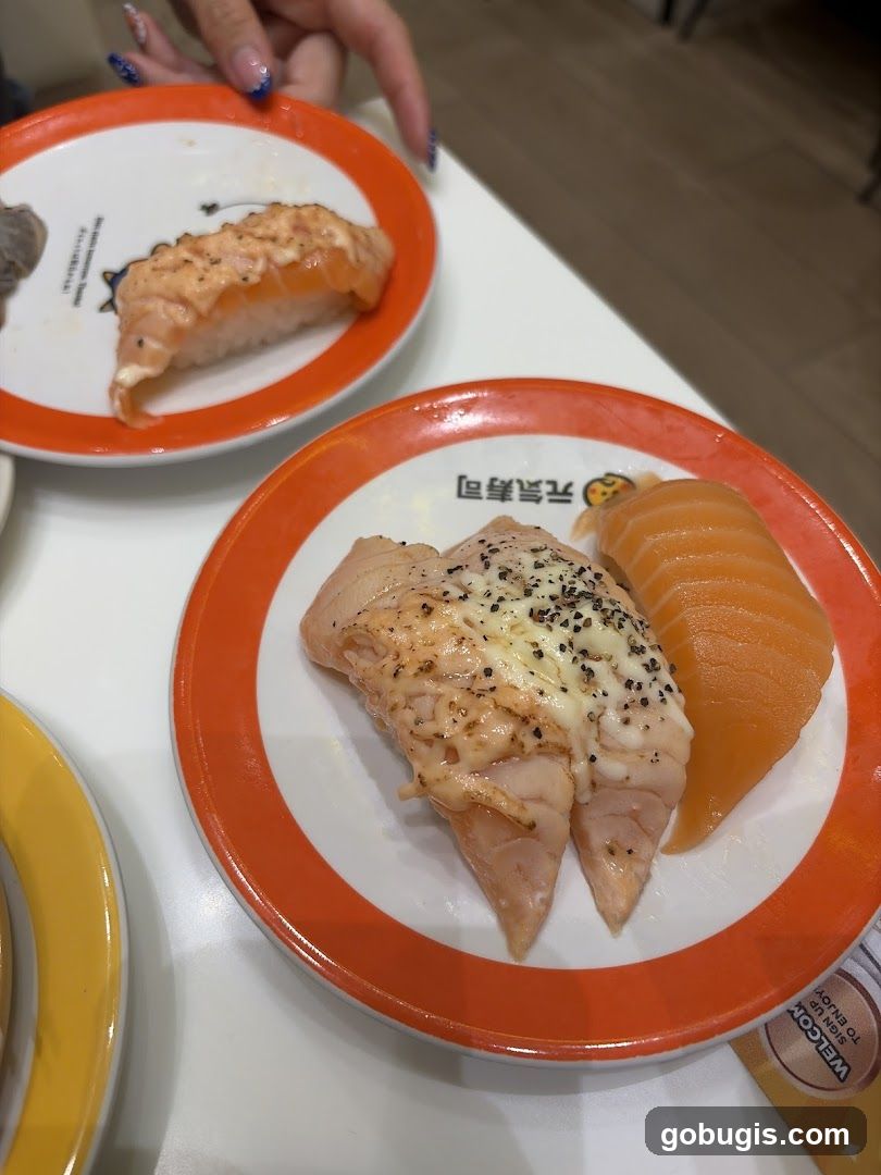 Salmon Sushi Plates