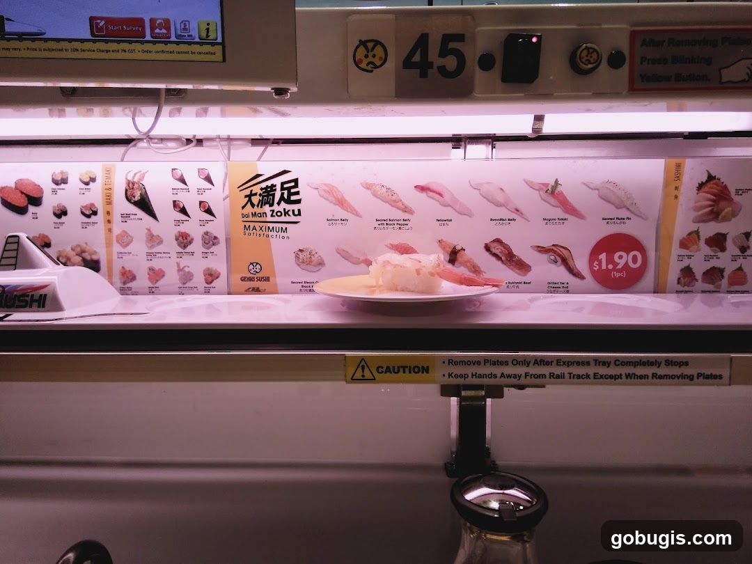 Conveyor Belt Sushi Display