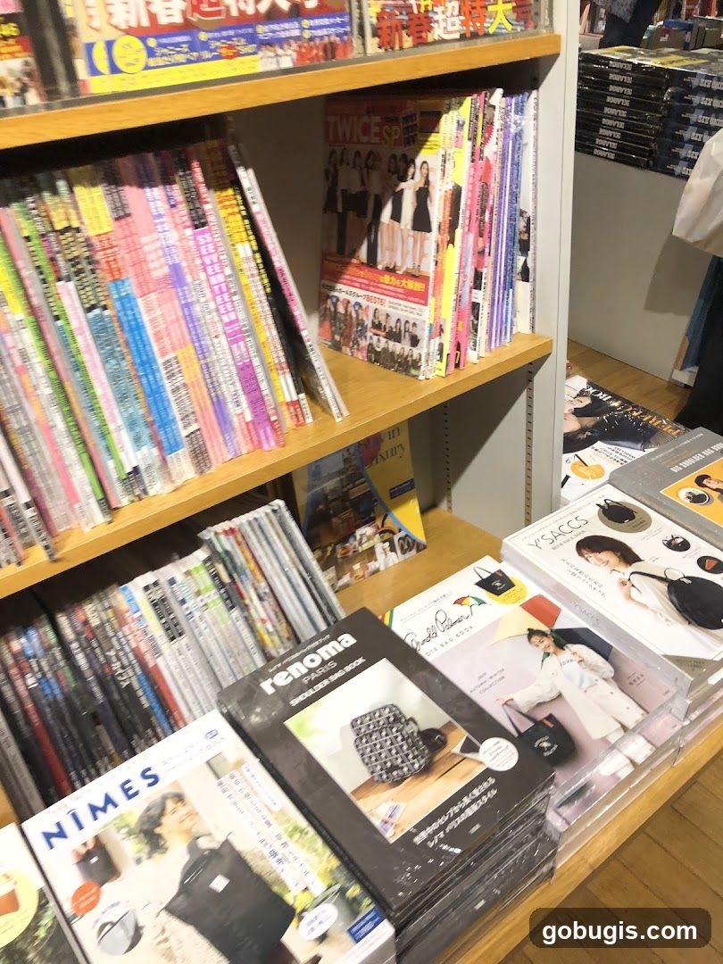 Magazines and Books on Shelves
