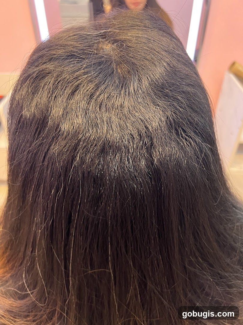 Hair