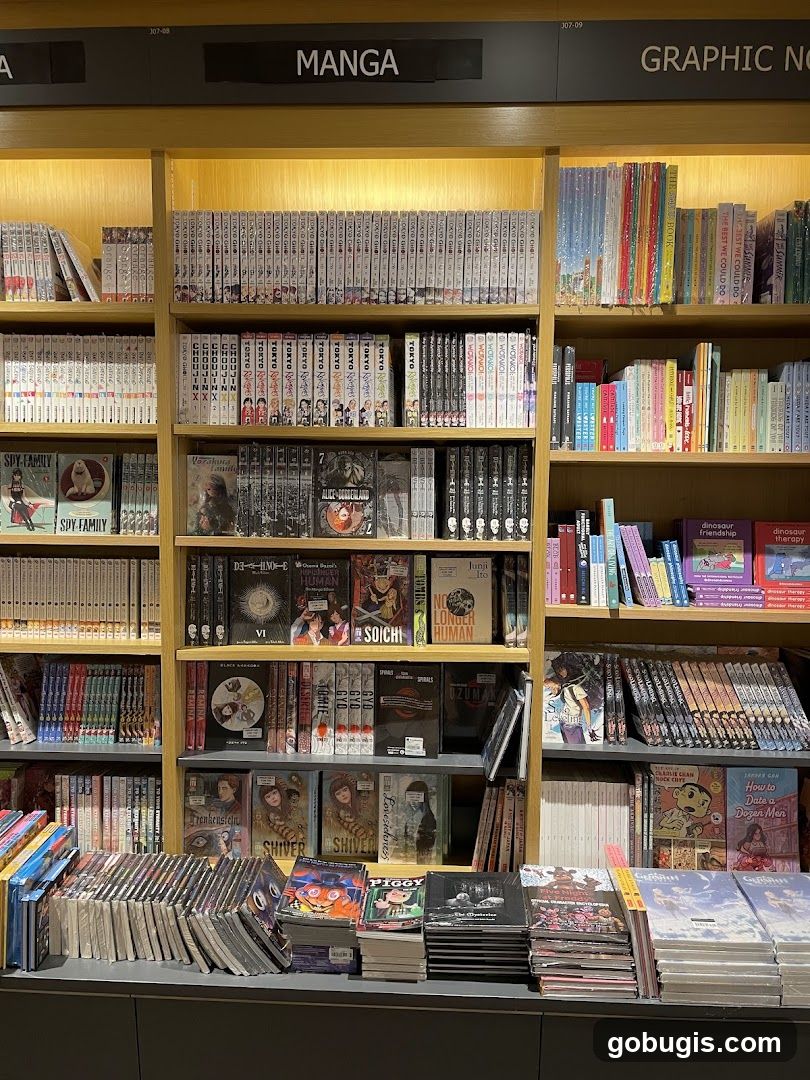 Bookstore Shelves