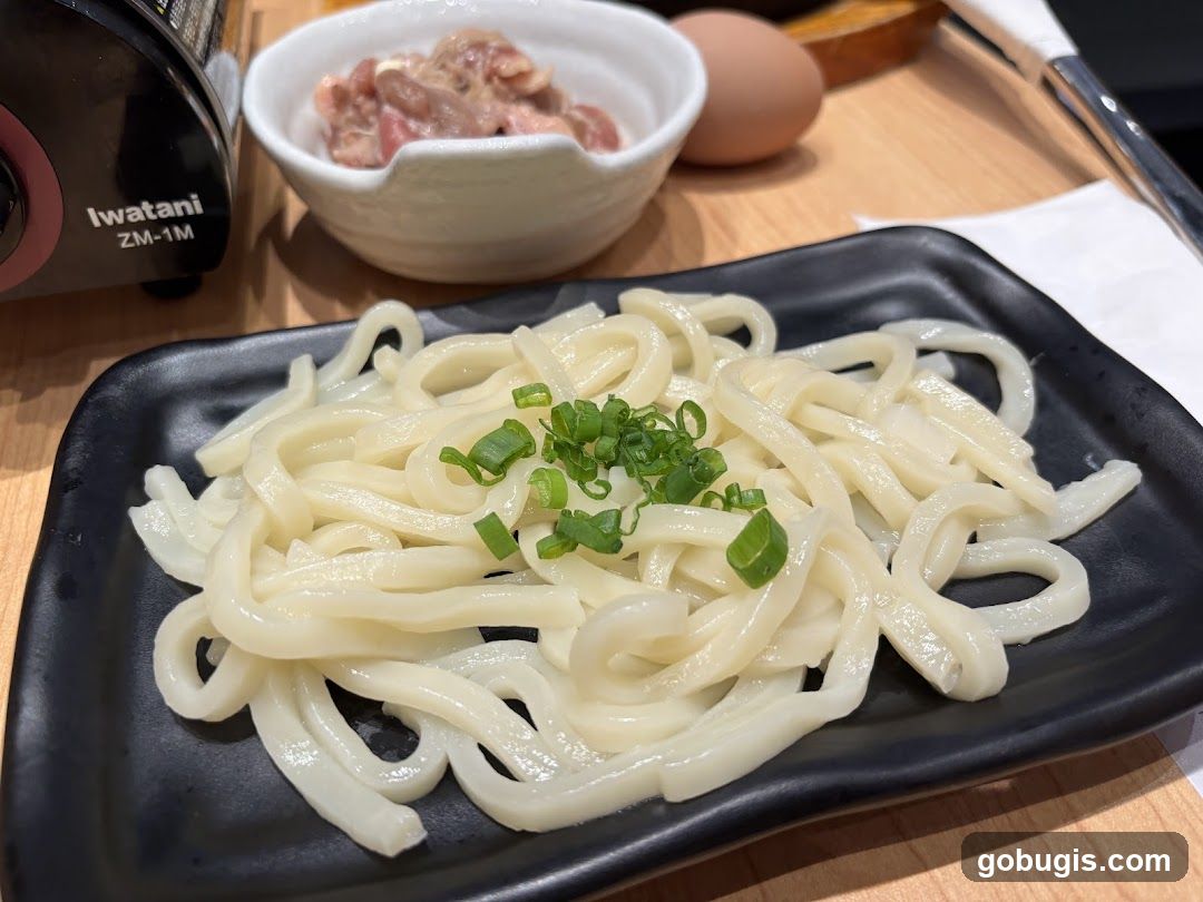 Udon Noodles with Toppings