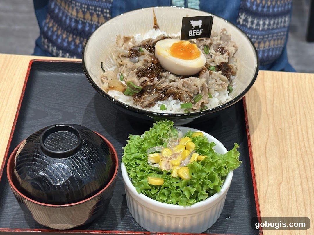 Beef Donburi with Side Salad and Soup