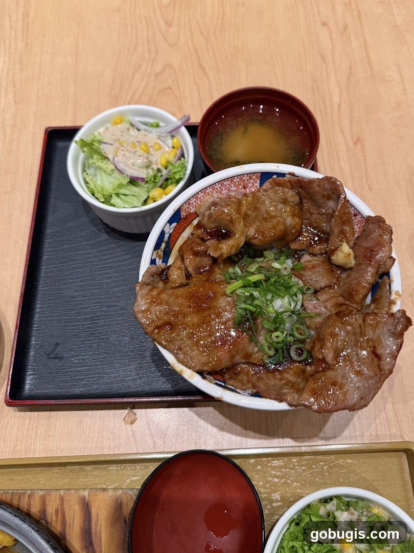 Pork Donburi Set