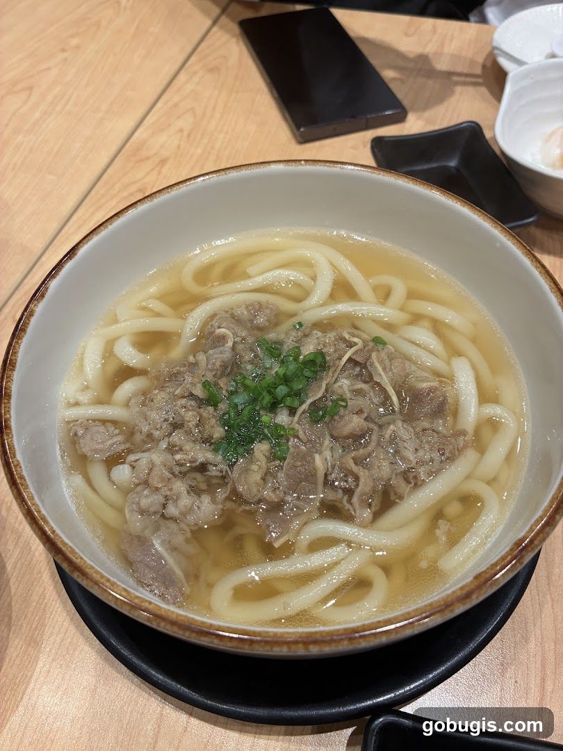 Beef Udon Soup