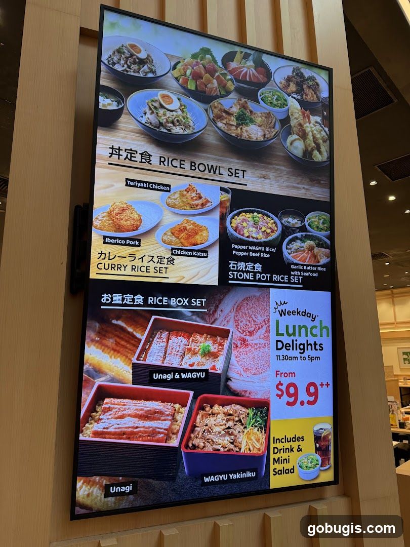 Rice Bowl and Rice Box Sets