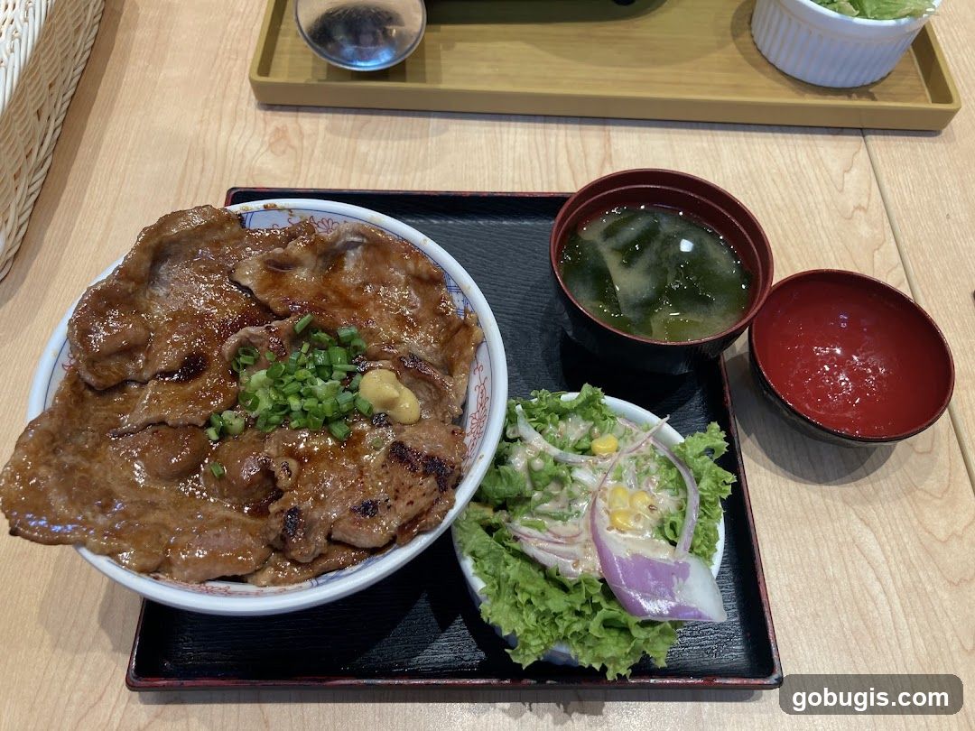 Pork Donburi Set