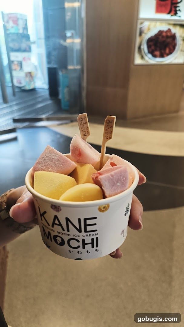 Ice Cream Cup