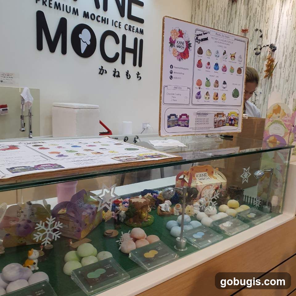 Kane Mochi Ice Cream Shop