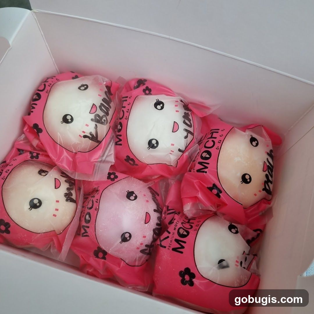 Box of Mochi