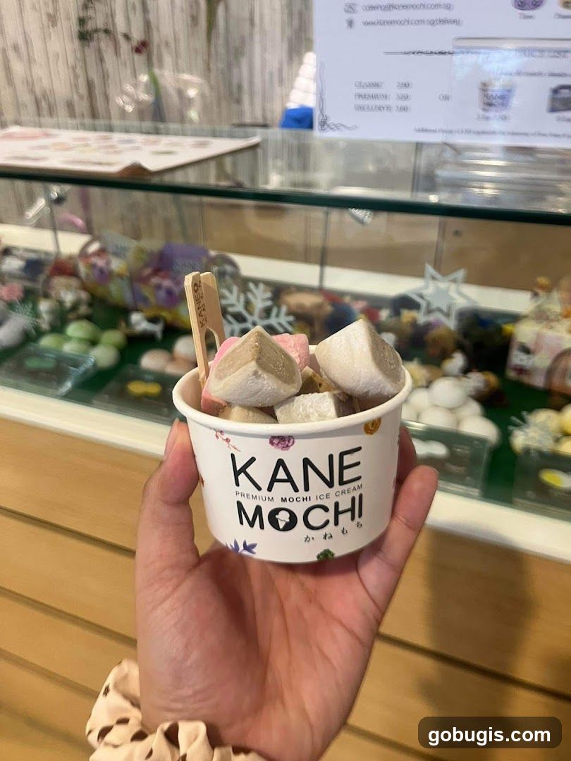 Mochi Ice Cream Cup