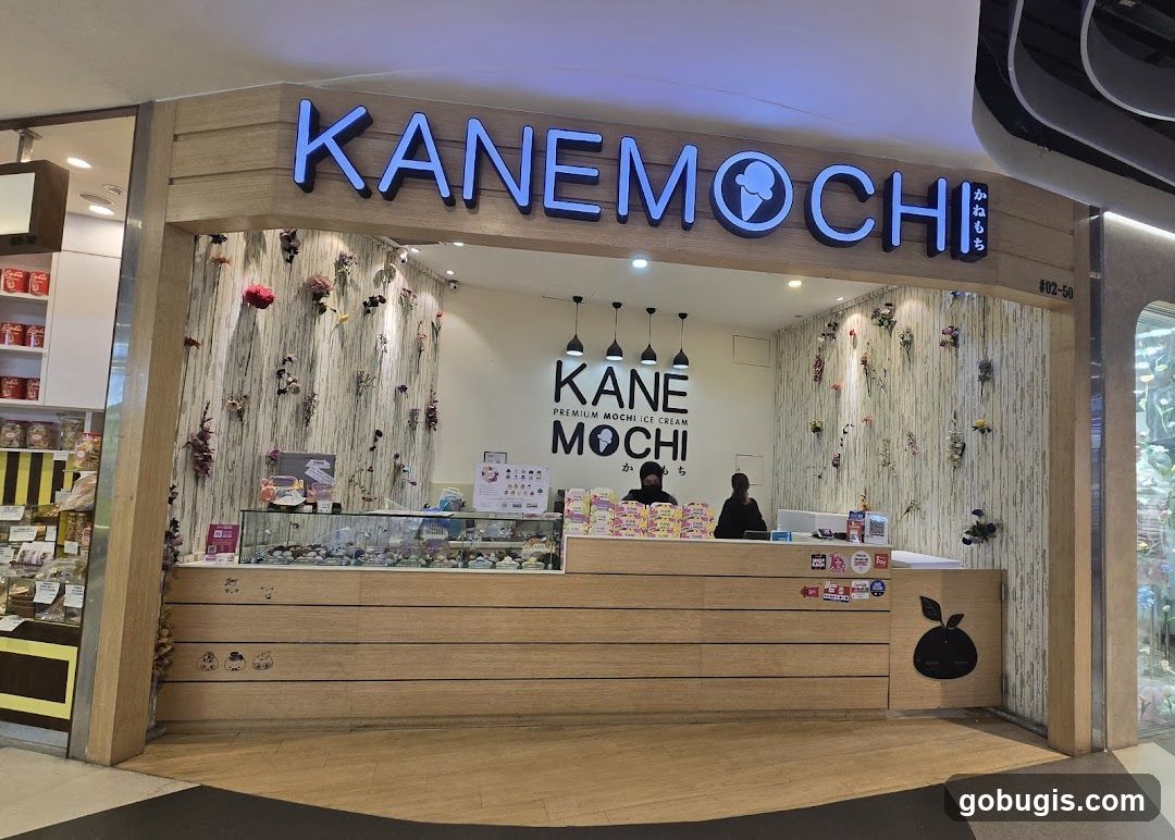 KANE MOCHI