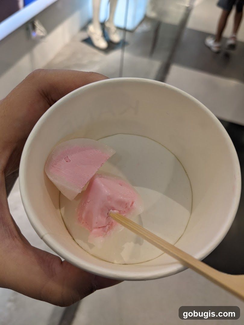 Ice Cream Mochi