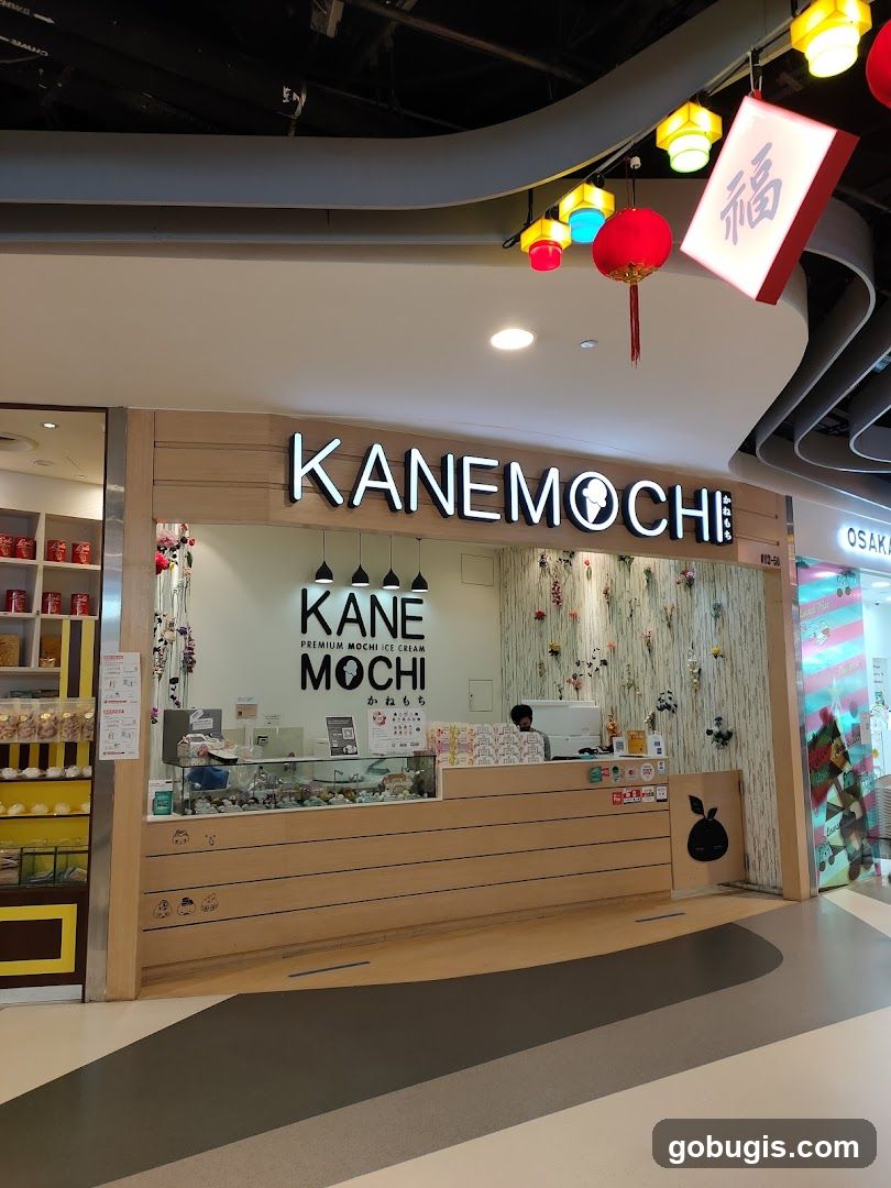 KANE MOCHI