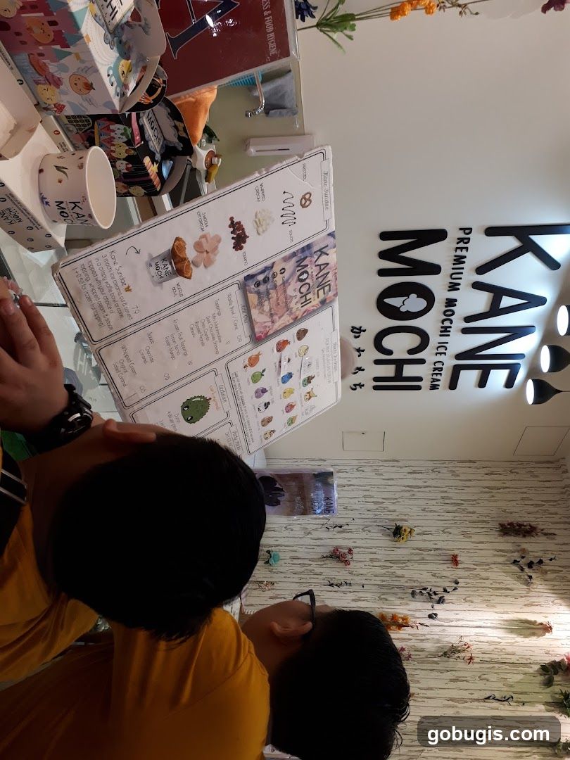 Kane Mochi Ice Cream Menu