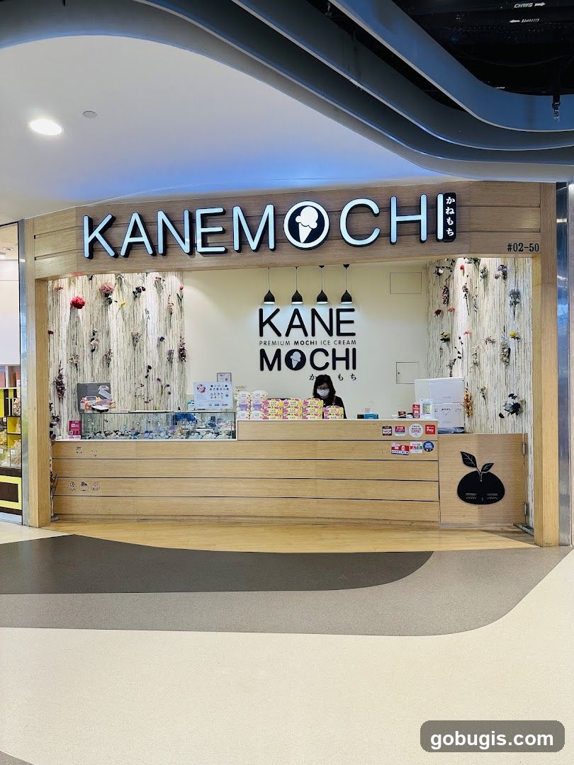 KANE MOCHI