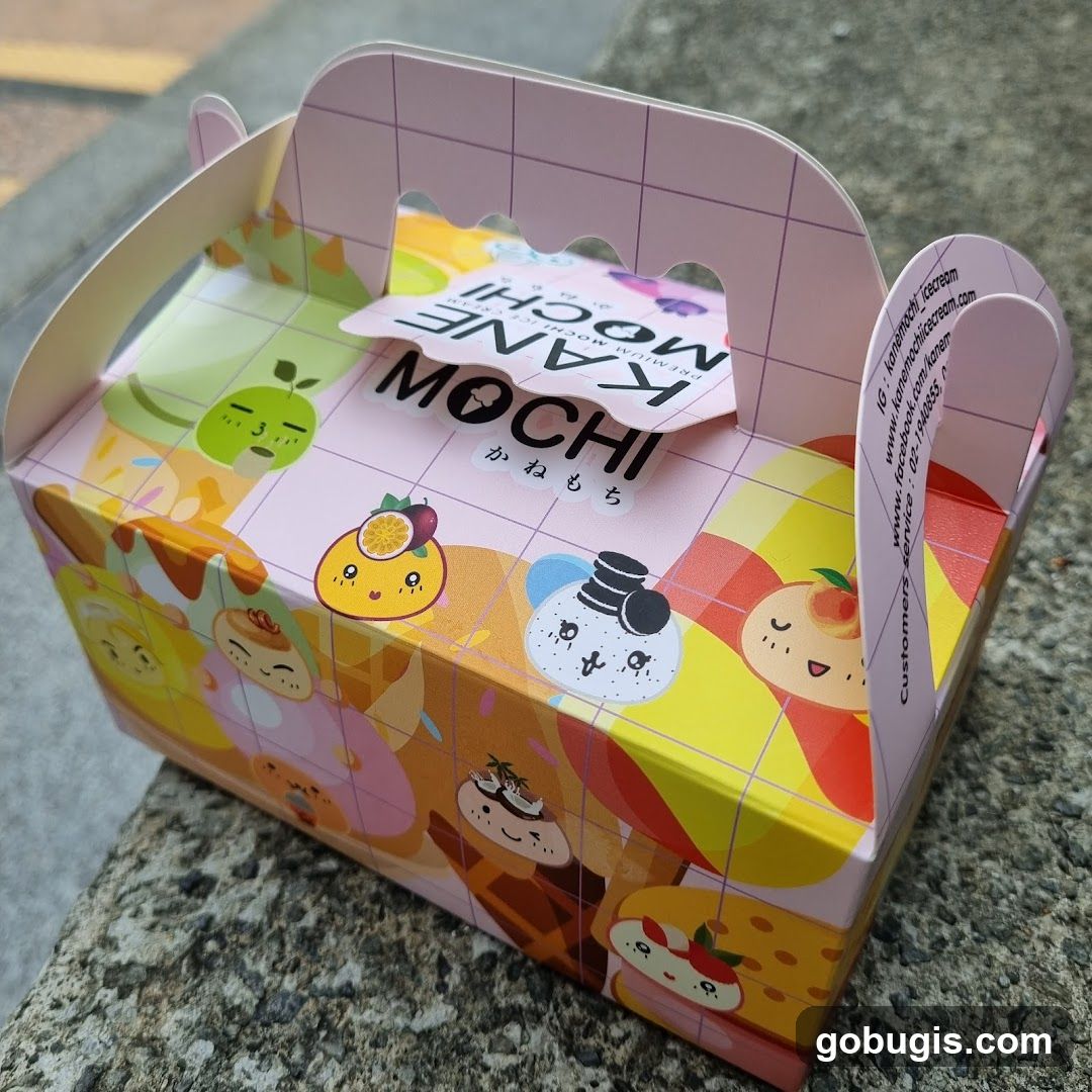 Mochi Ice Cream Box