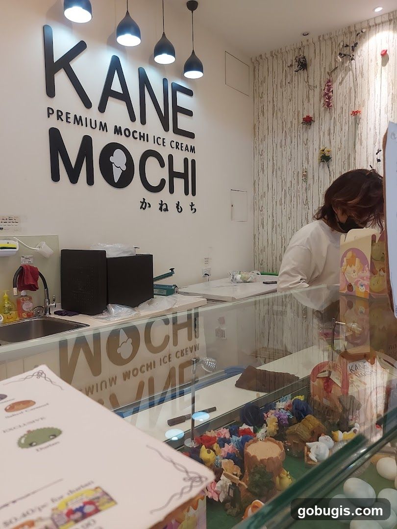 Kane Mochi Ice Cream Shop