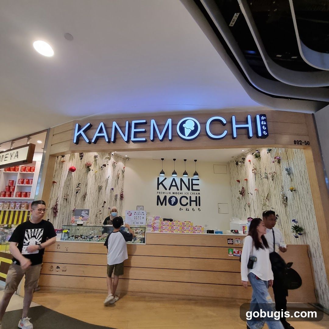 KANE MOCHI