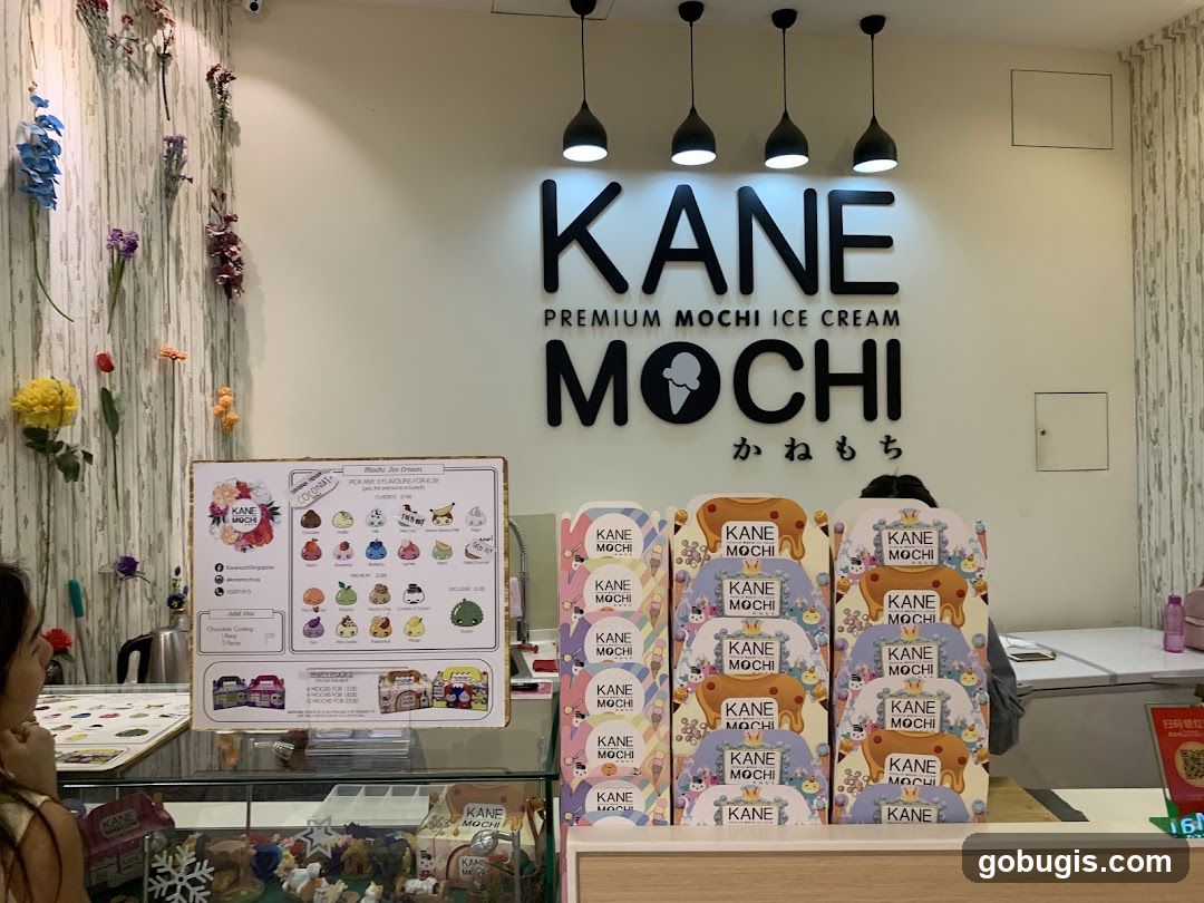 Kane Mochi Ice Cream Counter