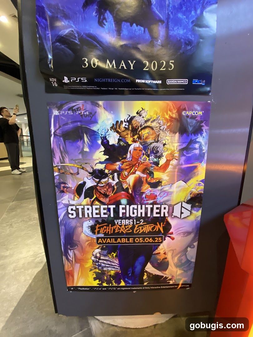 Street Fighter 6: Years 1-2 Fighters Edition Poster
