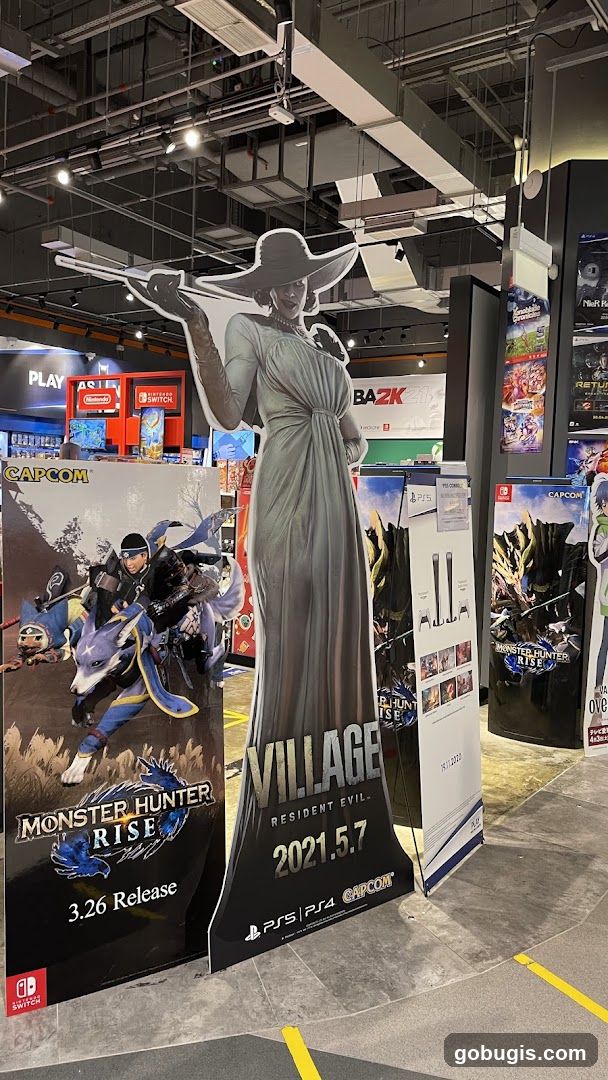 Video Game Display