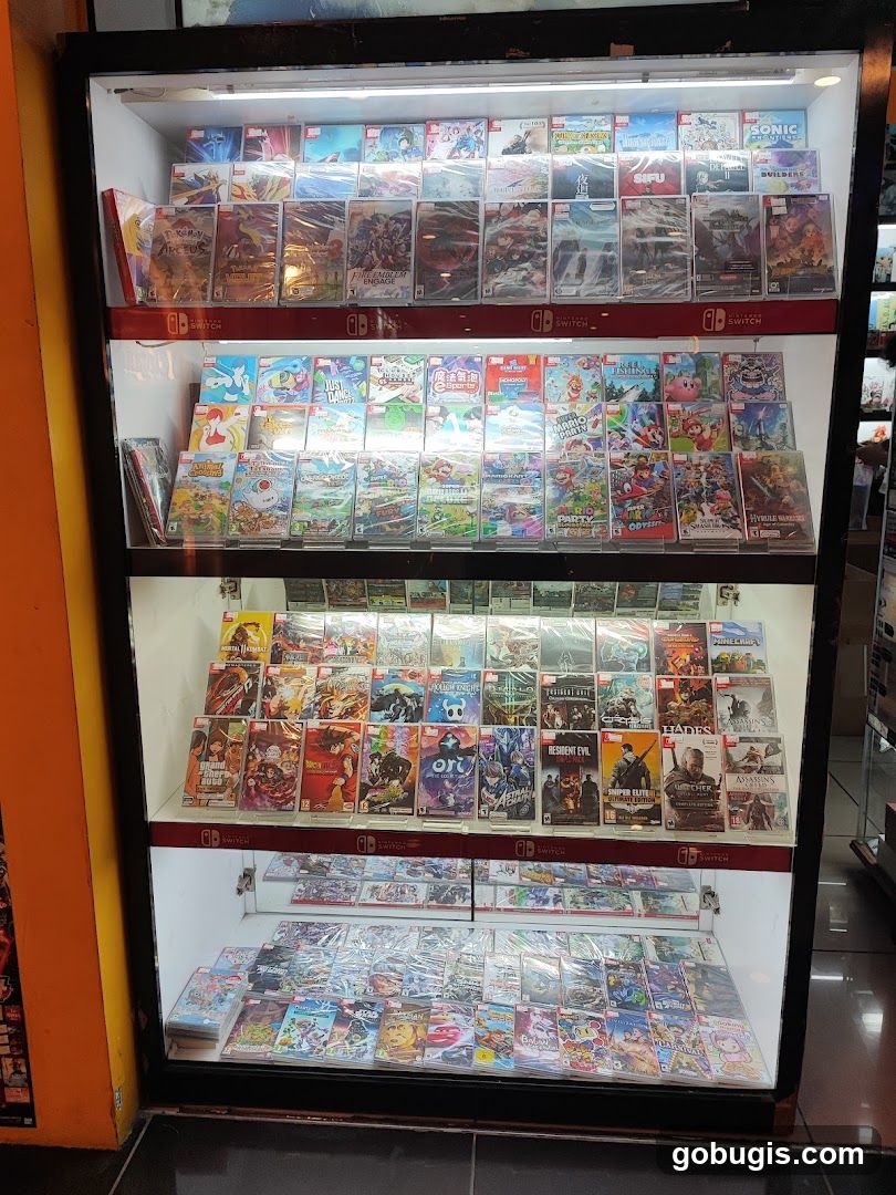 Video Game Display