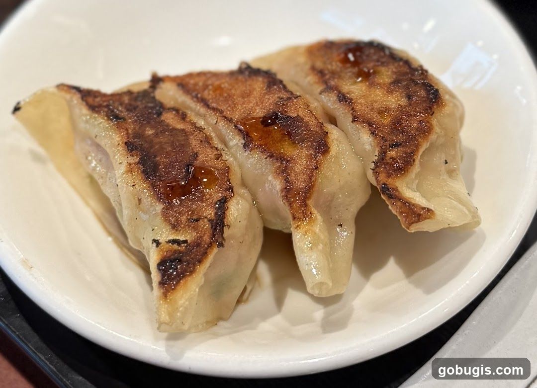 Pan-Fried Dumplings