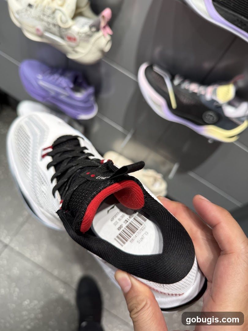 Sneakers on Display