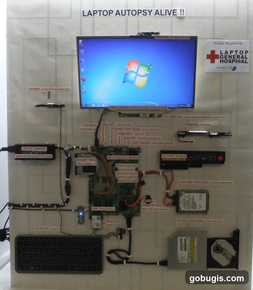 Laptop Autopsy Alive