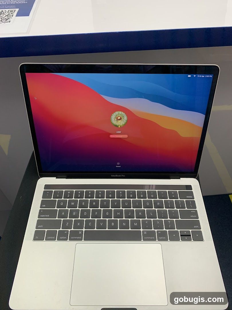 MacBook Pro Login Screen
