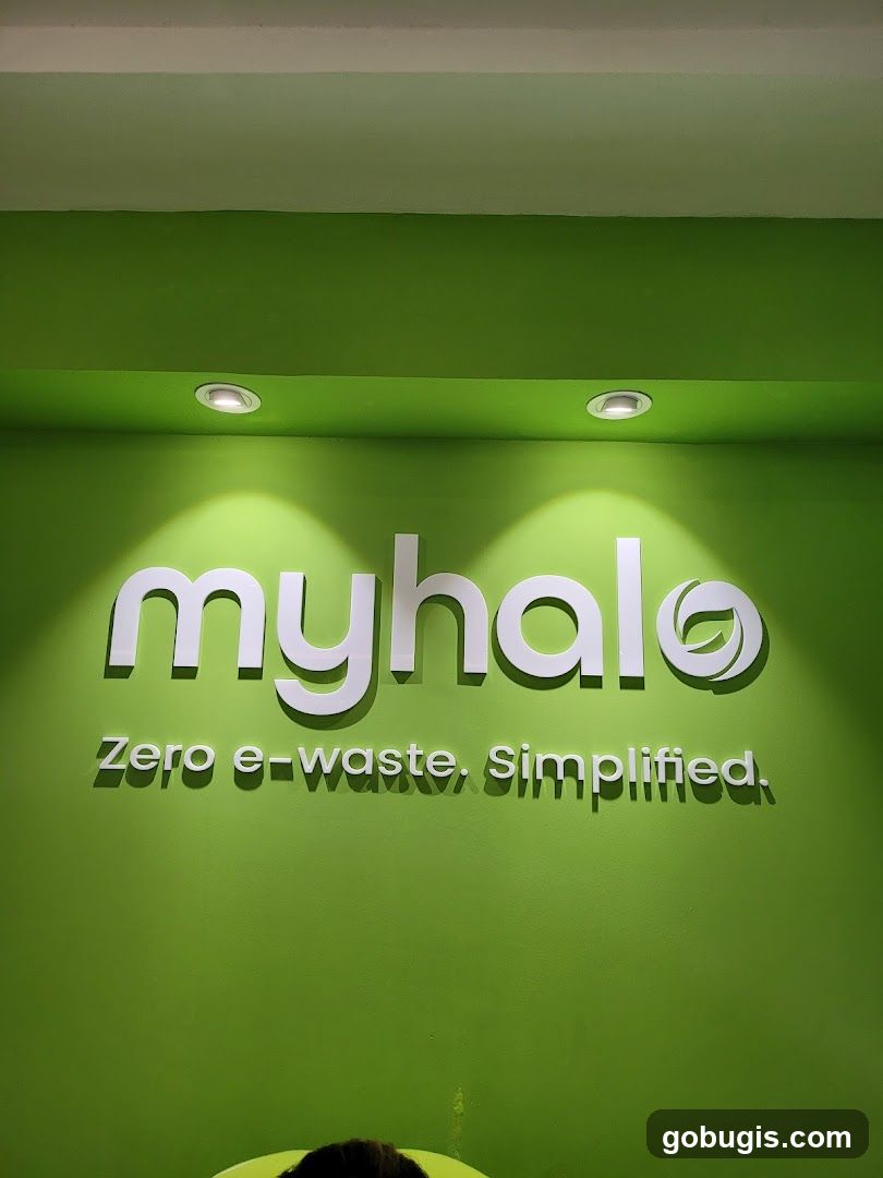 Myhalo Logo