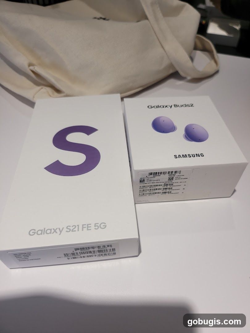 Samsung Galaxy S21 FE 5G and Galaxy Buds2