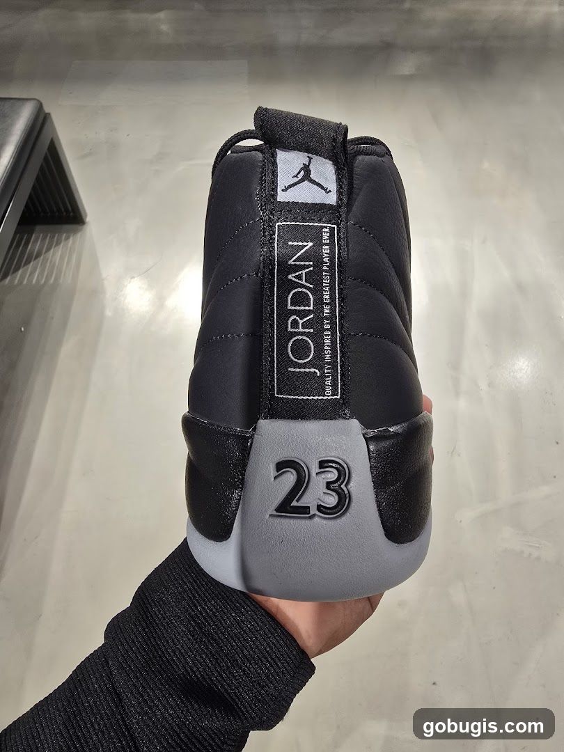 Air Jordan 12 Shoe