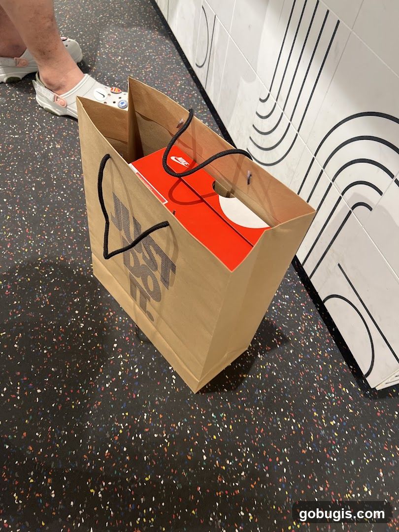 Shopping Bag with Nike Box