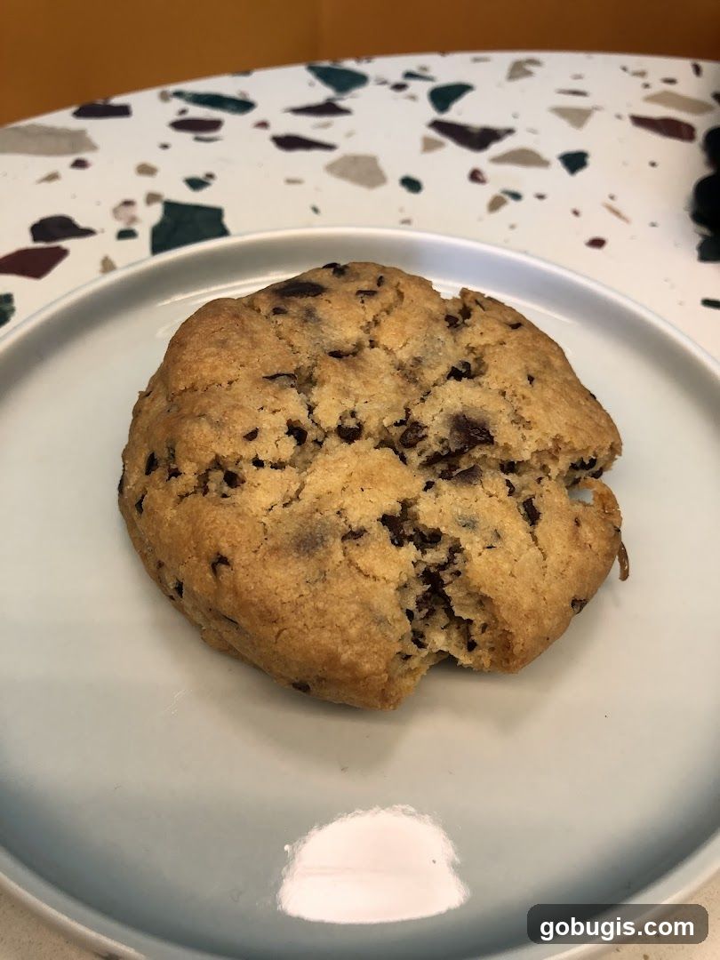 Chocolate Chip Cookie